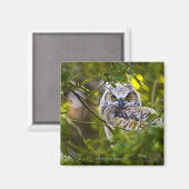 Great Horst Owlet Magneet (Voorkant / Achterkant)
