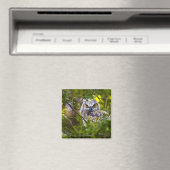 Great Horst Owlet Magneet (Insitu (Vaatwasser))