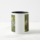 Great Horst Owlet Mok (Midden)