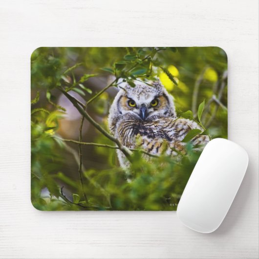 Great Horst Owlet Muismat (Met muis)