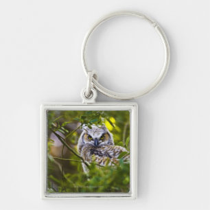 Great Horst Owlet Sleutelhanger