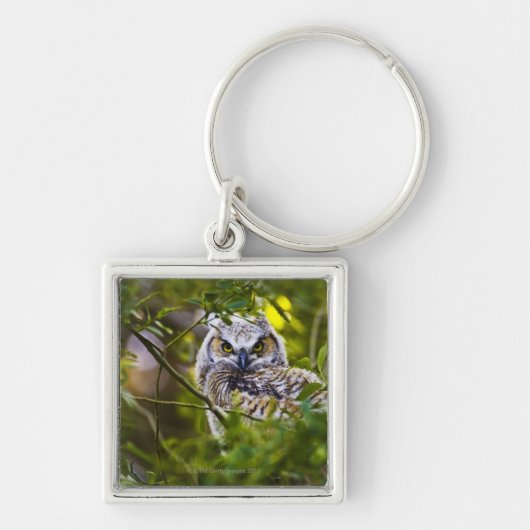Great Horst Owlet Sleutelhanger (Voorkant)