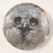 Great Horst Owlet Zandsteen Onderzetter (Voorkant)