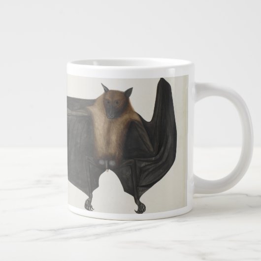 Great Indian Fruit Bat, c.1777-82 Grote Koffiekop (Rechts)