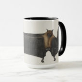 Great Indian Fruit Bat, c.1777-82 Mok (Voorkant rechts)