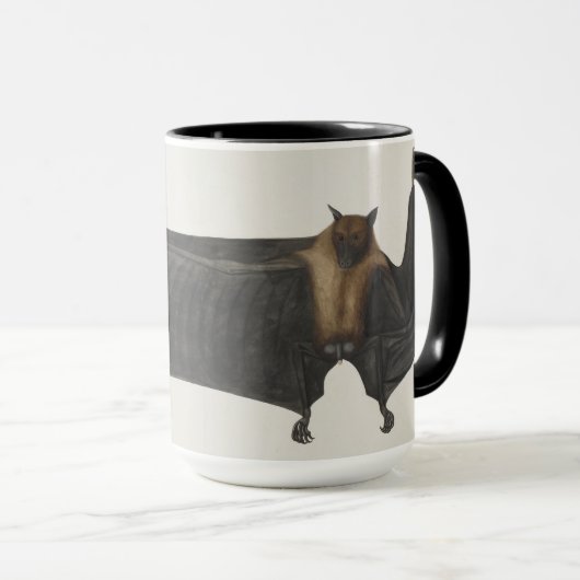 Great Indian Fruit Bat, c.1777-82 Mok (Voorkant rechts)