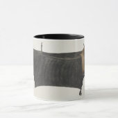 Great Indian Fruit Bat, c.1777-82 Mok (Midden)