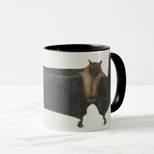 Great Indian Fruit Bat, c.1777-82 Mok (Voorkant rechts)