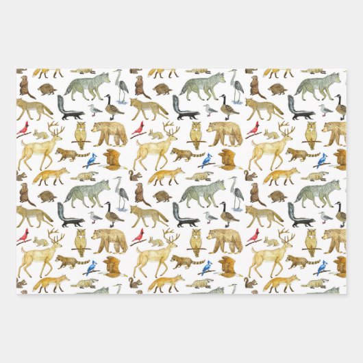 Great Lakes Wildlife Gift Wrap Inpakpapier Vel (Voorkant 3)