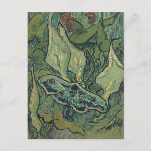 Great Peacock Moth by Vincent van Gogh Briefkaart (Voorkant)