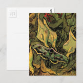 Great Peacock Moth door Vincent van Gogh Briefkaart (Voorkant / Achterkant)