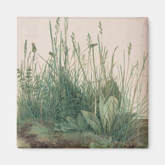 Great Piece of Turf (door Albrecht Dürer) Magneet (Voorkant)