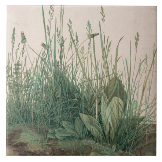 Great Piece of Turf (door Albrecht Dürer) Tegeltje (Voorkant)