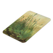 Great Piece of Turf van Albrecht Durer,  Kunst Magneet (Linkerzijde)