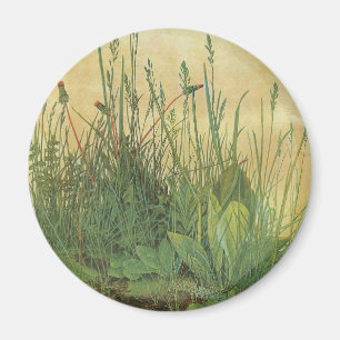 Great Piece of Turf van Albrecht Durer, Kunst Magneet