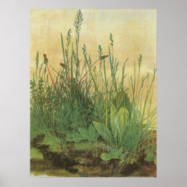 Great Piece of Turf van Albrecht Durer,  Kunst Poster