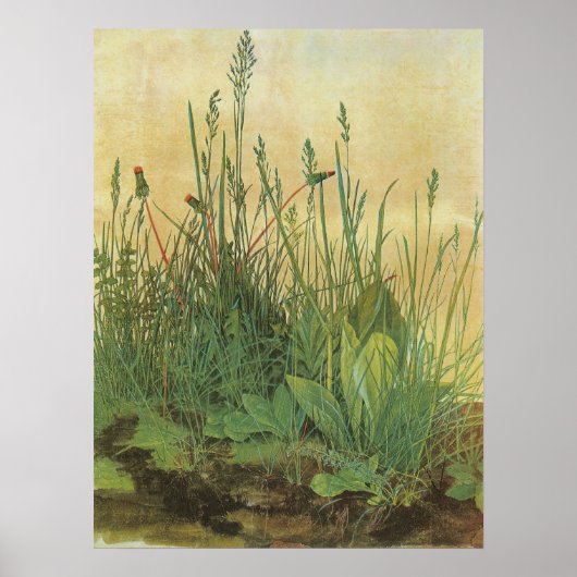 Great Piece of Turf van Albrecht Durer,  Kunst Poster (Voorkant)