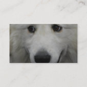 great-pyrenees-20.jpg visitekaartje (Achterkant)