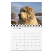 Great Pyrenees Calendar Kalender (Jan 2027)