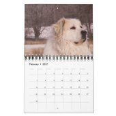 Great Pyrenees Calendar Kalender (Feb 2027)