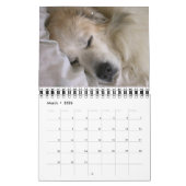 Great Pyrenees Calendar Kalender (Mar 2026)