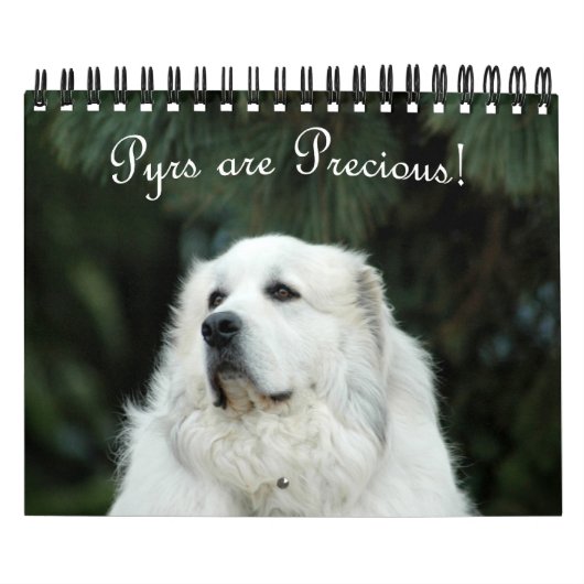 Great Pyrenees Calendar Kalender (Hoes)