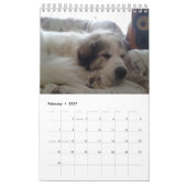 Great Pyrenees Calendar Kalender (Feb 2027)
