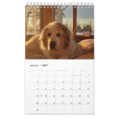 Great Pyrenees Calendar Kalender (Jan 2027)
