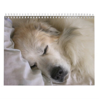 Great Pyrenees Calendar Kalender