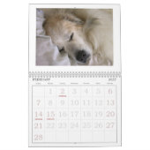 Great Pyrenees Calendar Kalender (Feb 2027)