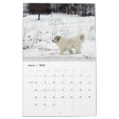 Great Pyrenees Calendar Kalender (Mar 2026)