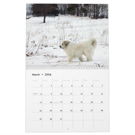 Great Pyrenees Calendar Kalender (Mar 2026)