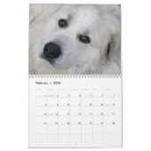 Great Pyrenees Calendar Kalender (Feb 2026)