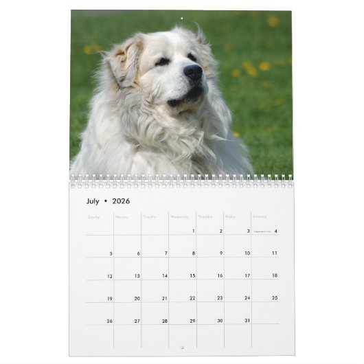 Great Pyrenees Calendar Kalender (Jul 2026)
