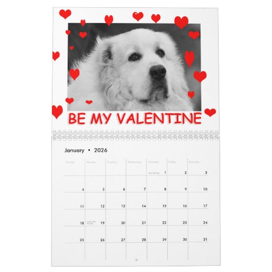 Great Pyrenees Calendar Kalender (Jan 2026)