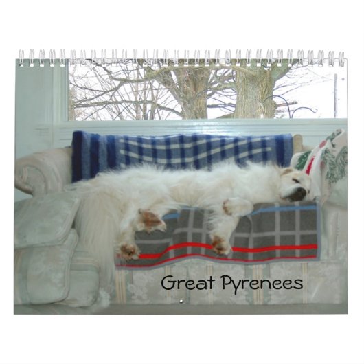 Great Pyrenees Calendar Kalender (Hoes)