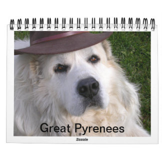 Great Pyrenees Calendar Kalender