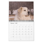 Great Pyrenees Calendar Kalender (Feb 2027)