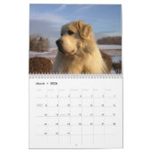 Great Pyrenees Calendar Kalender (Mar 2026)