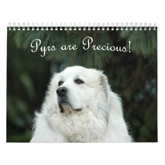 Great Pyrenees Calendar Kalender (Hoes)