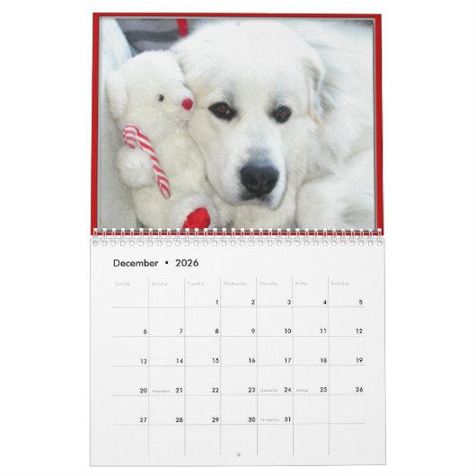 Great Pyrenees Calendar Kalender (Dec 2026)