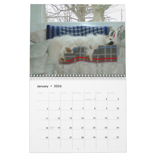 Great Pyrenees Calendar Kalender (Jan 2026)