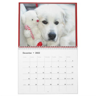 Great Pyrenees Calendar Kalender