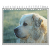 Great Pyrenees Calendar Kalender (Hoes)
