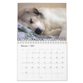 Great Pyrenees Calendar Kalender (Feb 2027)