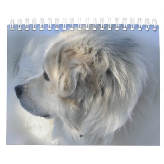Great Pyrenees Calendar Kalender
