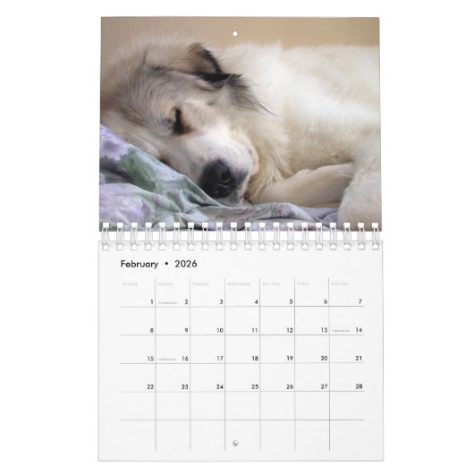 Great Pyrenees Calendar Kalender (Feb 2026)