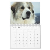 Great Pyrenees Calendar Kalender (Jan 2026)