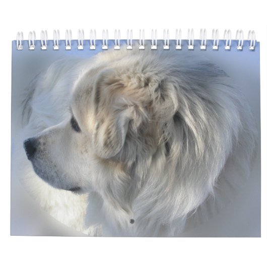 Great Pyrenees Calendar Kalender (Achterkant)