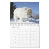 Great Pyrenees Calendar Kalender (Mar 2026)